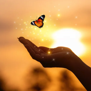 Finding Peace in Stressful Times 4 Hour Half-Day Intensive